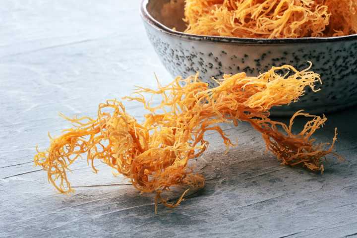 Beauty and health gurus love it. Do claims about sea moss sink or swim?