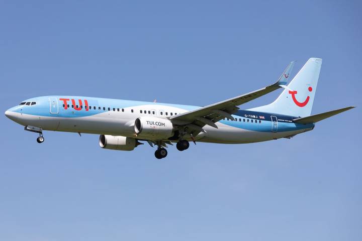 Flight Makes Emergency Landing Moments After Taking Off Due to Bird Strike