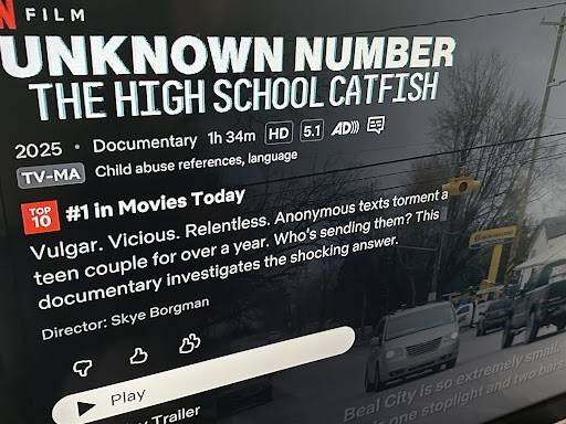 Netflix documentary captures catfishing scheme concocted by Michigan mother