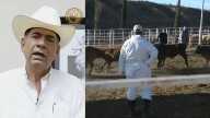 Alta expectativa de apoyos a sector ganadero en Sonora ante crisis
