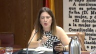 Comparecencia de la "fontanera" del PSOE en la Comisión Koldo del Senado
