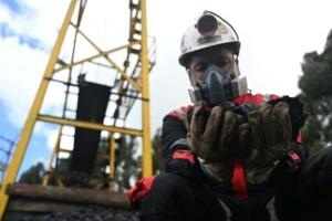 Colombia coal exports plummet after ban on Israel sales