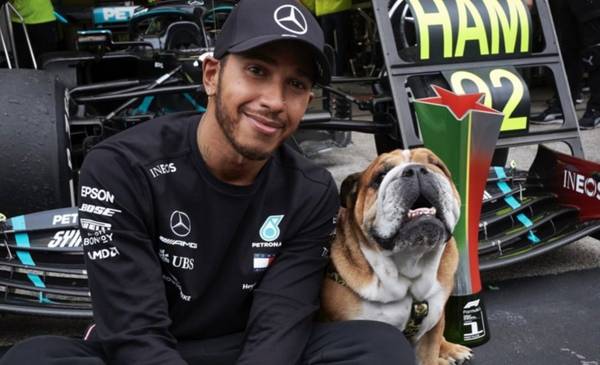 Preocupación por la salud de Roscoe, el perro de Hamilton: “No sabemos si va a despertar”