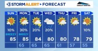 A very foggy morning with evening shower chances
