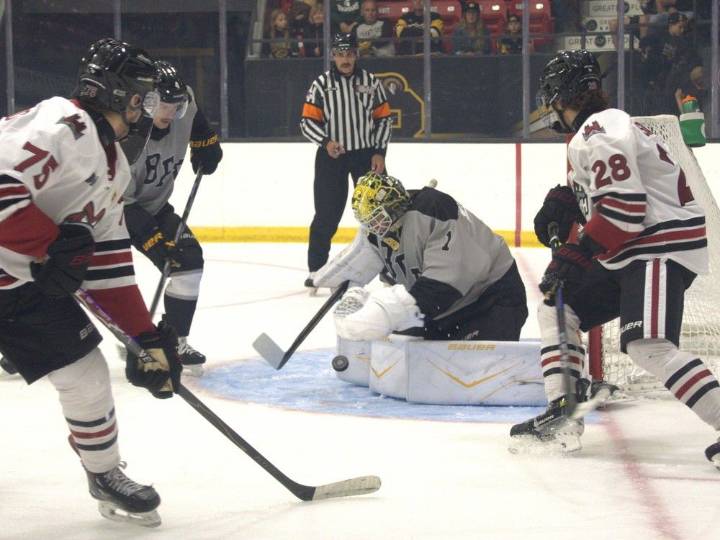 Brantford Bulldogs end pre-season with win against Guelph Storm