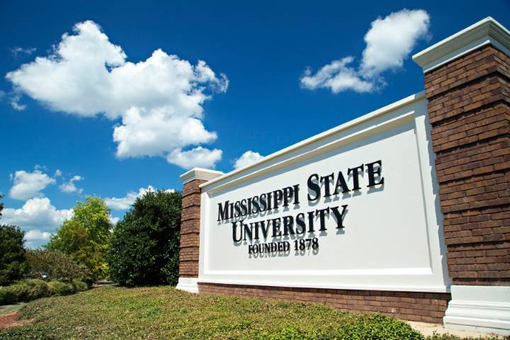 Mississippi State University student from Trussville showcases art in mental health exhibition