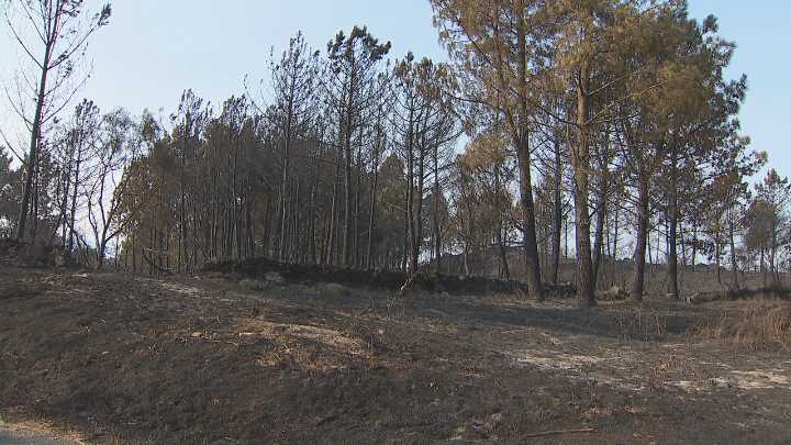 O vento aviva o lume entre Ourense e Zamora e obriga a confinar a poboación de Castromil