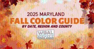 Where to see Maryland’s best fall colors in 2025: Guide updated weekly