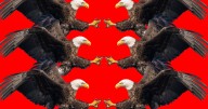 Trump’s Generals Speech Proved to Be Dumb, Deluded... and Dangerous