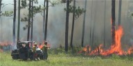 FSU researchers awarded over $2 million to combat wildfires fueled by hurricanes