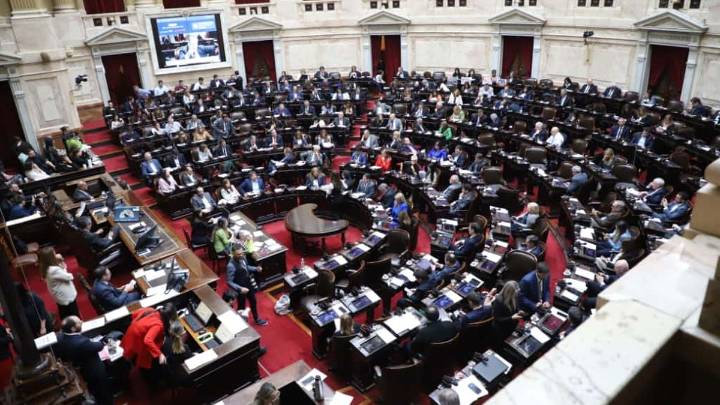 La oposición celebró el rechazo a los vetos de Javier Milei sobre el Garrahan y universidades: "El pueblo está de pie"