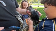 ‘He saved me’: After dog's miracle Helene rescue, community rallies to build family new home