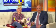 Pet of the Week: Wednesday