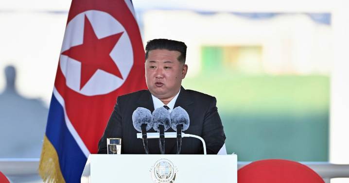 North Korean soldiers didn't know they were fighting for Putin as last words revealed