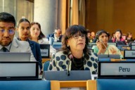 Perú asume vicepresidencia del Buró del Comité de Representantes Permanentes del PNUMA