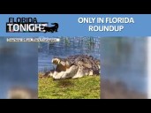 Only in Florida roundup and more