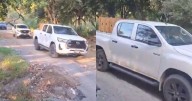 VIDEO: Así fue el rescate y traslado de la Osa Mina del zoológico La Pastora, NL
