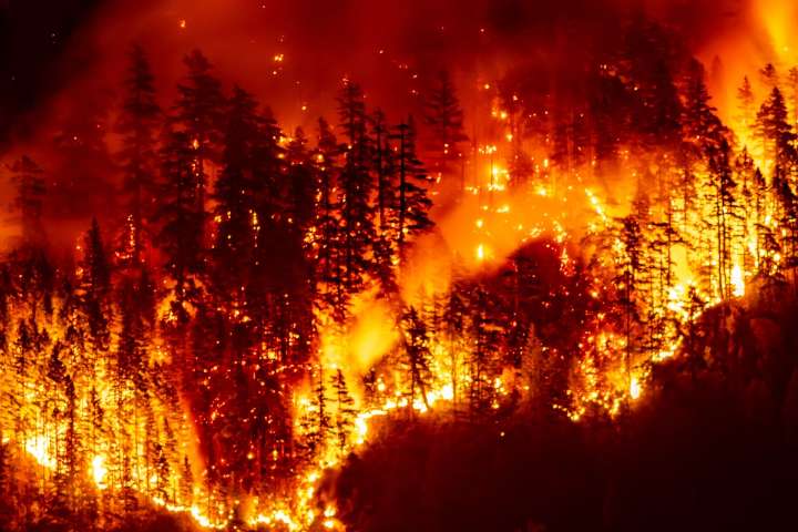 Canadian wildfires had global impact on premature deaths in 2023, new study says