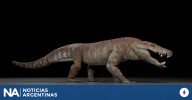 Descubren un nuevo cocodrilo en la Patagonia que convivió con los últimos dinosaurios