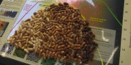 From field to ballpark: How NC peanuts are picked at the perfect time