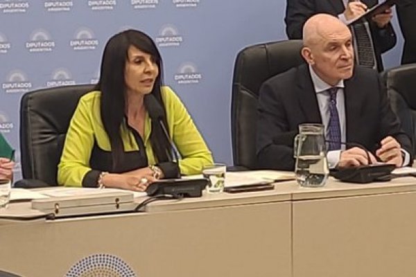 Grave denuncia: quién es la diputada libertaria 'narco' que preside una Comisión en Diputados junto a Espert