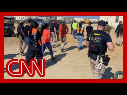 Hyundai's Electric Vehicle Plant In Georgia Targeted By ICE