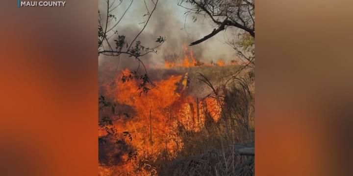 Police search for suspect who allegedly started Paia fire