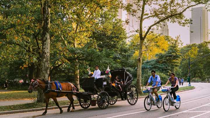 Mayor Adams comes out in support of a bill to ban carriage horses
