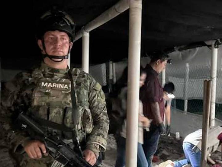 Semar protege a tortuga Golfina en Costas de Michoacán
