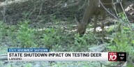 State shutdown could impact testing deer