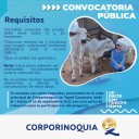 Proyecto de Reconversión Productiva Ganadera