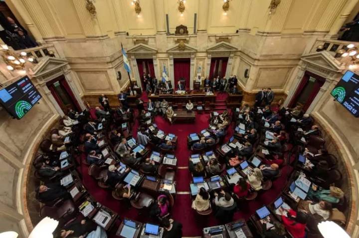 El Senado se encamina a rechazar el veto a la emergencia en Discapacidad