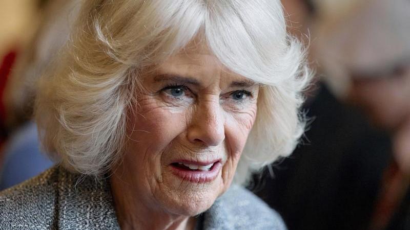 Queen Camilla sexual assault: New book claims royal was an alleged victim on a train