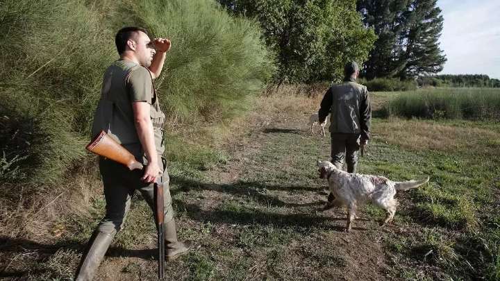 La vacuna de la rabia dejará de ser anual en Extremadura