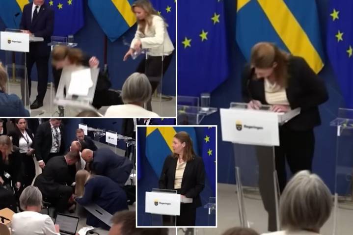 Sweden health minister Elisabet Lann collapses during press conference