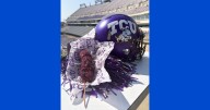 Texas Christian University debuts new purple corn dog
