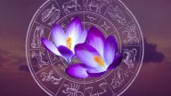 La energía de la primavera sacude al Zodíaco: el Horóscopo revela lo que vivirá cada signo