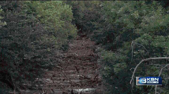 Log jam forms in Ottawa County, commissioners seek solutions