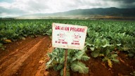 España, uno de los mayores exportadores de plaguicidas prohibidos en la UE, según una investigación