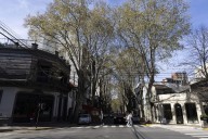 Brotes de alergia. Estudiantes secundarios presentaron un proyecto de ley para reemplazar los plátanos en la Ciudad