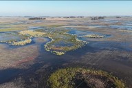 Declaran emergencia agropecuaria en dos provincias por eventos climáticos