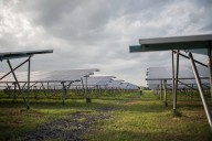 La primera la planta solar más grande del mundo está a punto de cerrar: costó 2.200 millones de dólares en California y ha sido mortal para la vida silvestre