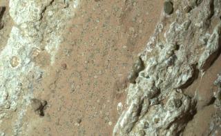 NASA descubre posibles signos de vida en Marte