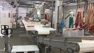 Preocupación por los aranceles de China al porcino: Un 62% a la carne procedente de la Unión Europea