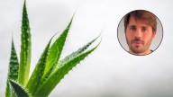 Álvaro Pedrera, experto en plantas: “Este error matará a tu aloe vera”