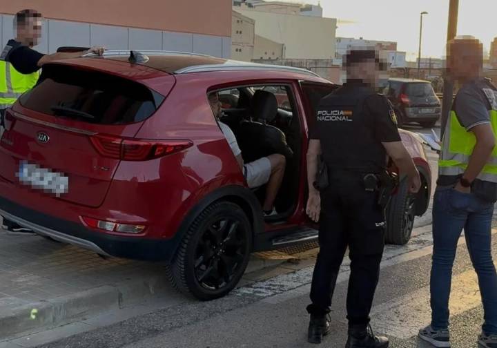 Macrooperación contra una red de narcotráfico y blanqueo con más de 20 detenidos en la provincia de Valencia