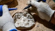 Dinosaur eggs from China found to be around 86 million years old, according to ‘atomic clock’ dating