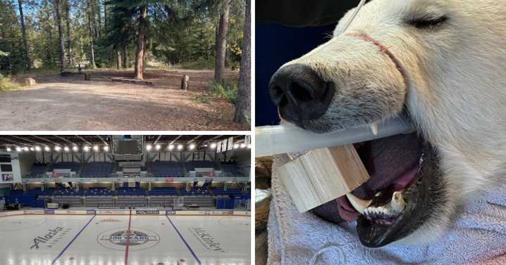 AROUND ALASKA: Fire Mitigation, Center Ice, and Polar Bear Teeth!