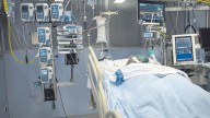 España lidera las infecciones en UE por cándida auris, un hongo resistente que se contagia en hospitales