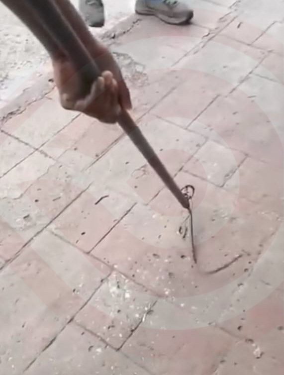 Capturan mahuaquite en céntrica ferretería